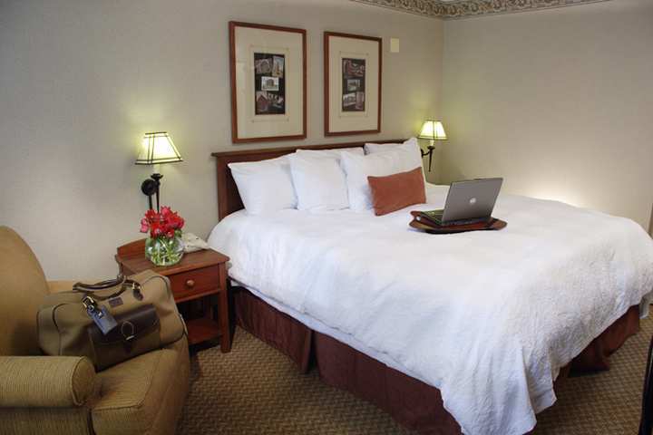 Hampton Inn & Suites Chicago-Downtown Δωμάτιο φωτογραφία
